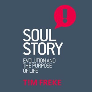 audiobook cover soul story by tim freke
