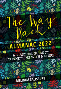 book cover The Way Back Almanack 2022 by Melinda Salisbury