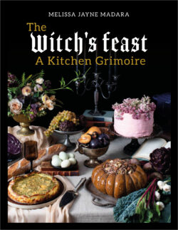 book cover for The Witch's Feast