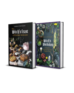 The Witch’s Bundle